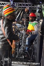 Aston-Jr-pig-at-combe